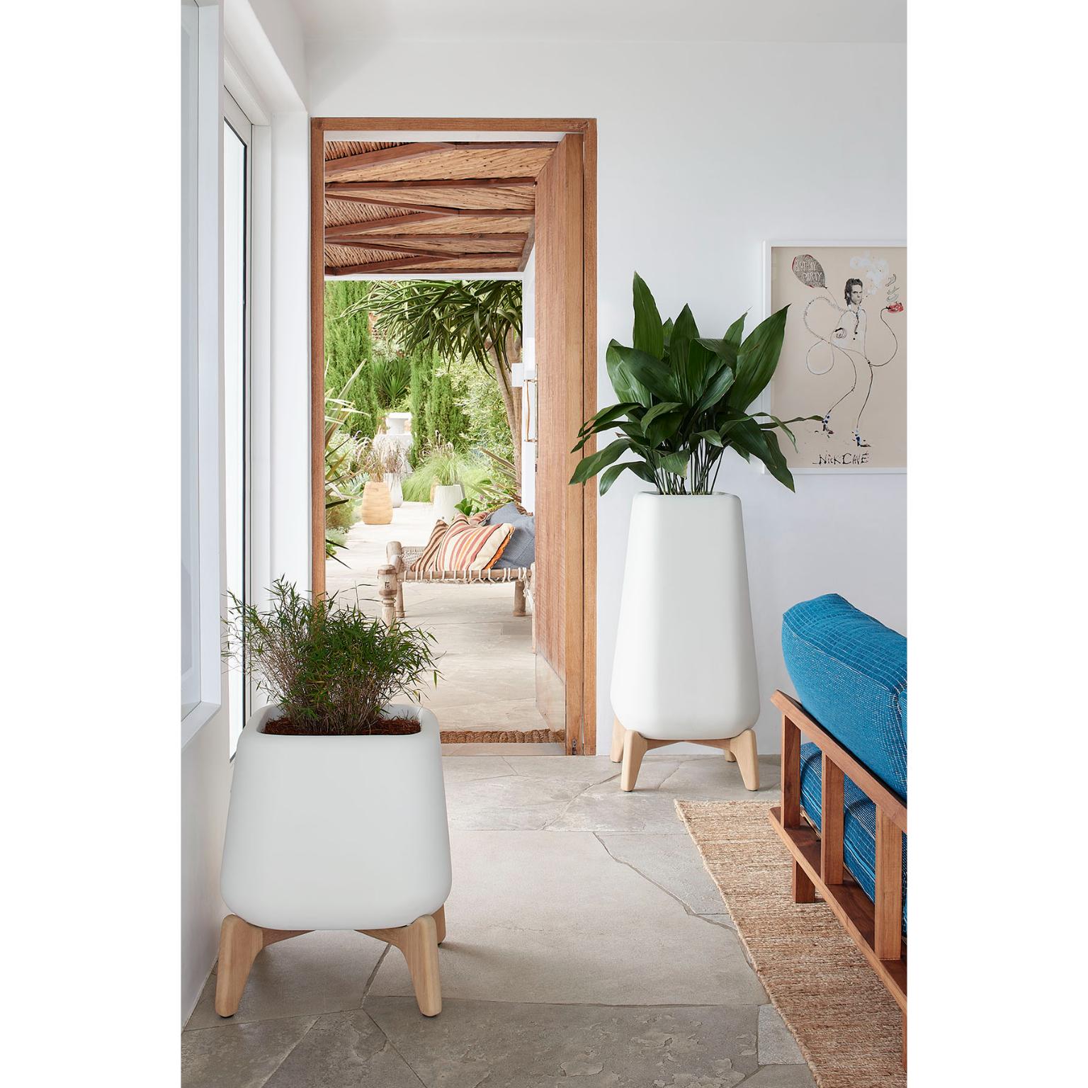 Terra Quadratisches XS Sandstein-Pflanzgefäß aus Terra mit geöltem Holzsockel von Indigenus im Angebot 8