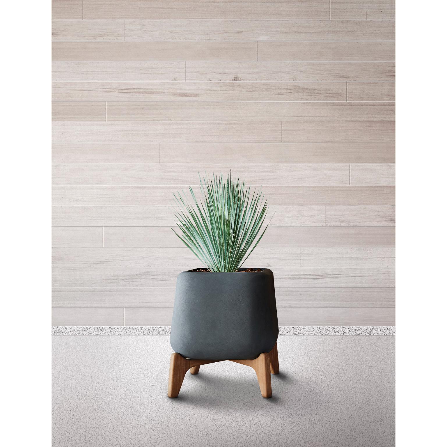 Terra Quadratisches XS Sandstein-Pflanzgefäß aus Terra mit geöltem Holzsockel von Indigenus (Südafrikanisch) im Angebot