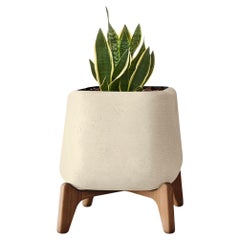 Fioriera Terra Square XS in pietra arenaria con base in Wood oliato di Indigenus