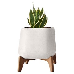 Fioriera Terra Square XS White con base in Wood oliato di Indigenus
