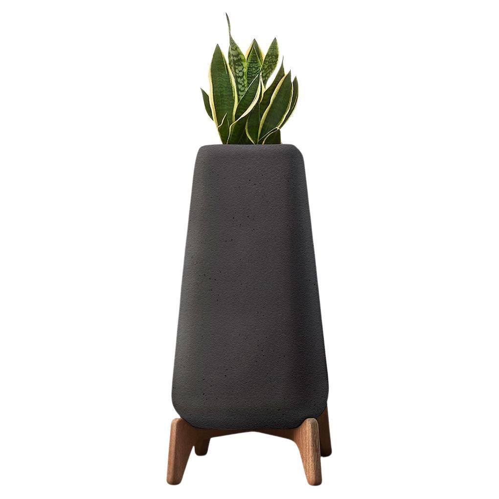 Terra Tall Black Planter With Oiled Wood Base by Indigenus
