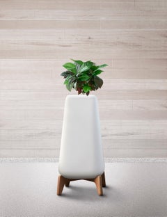Terra Tall Brown Planter With Oiled Wood Base by Indigenus