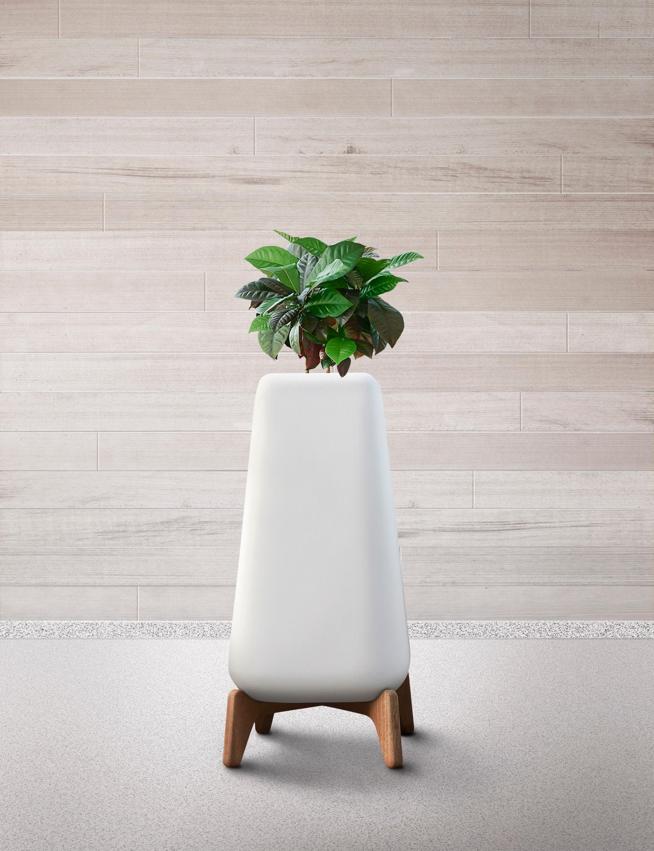 Terra Tall Grey Planter With Oiled Wood Base by Indigenus
Designed by Laurie Wiid van Heerden
Dimensions: W 60,2 x H 130 cm.
Materials: Stone and wood.
Weight: 82 kg.

Different colors and sizes are available. Wood is available with a natural or