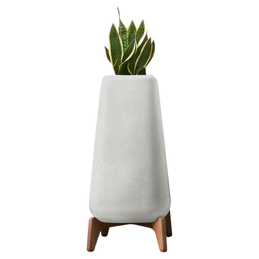 Terra Tall Grey Planter With Oiled Wood Base by Indigenus