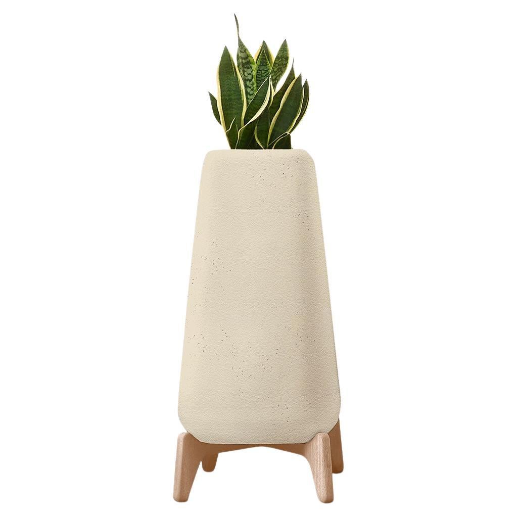 Terra Tall Sandstone Planter With Natural Wood Base by Indigenus