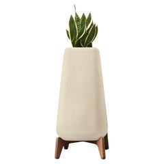 Jardinière Terra Tall Sandstone avec base en bois huilé par Indigenus