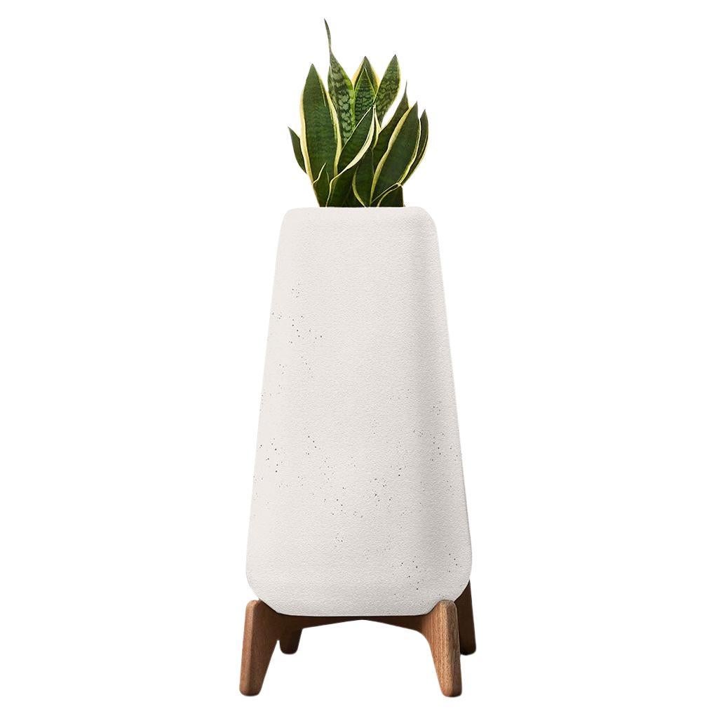 Terra Tall White Planter With Oiled Wood Base by Indigenus