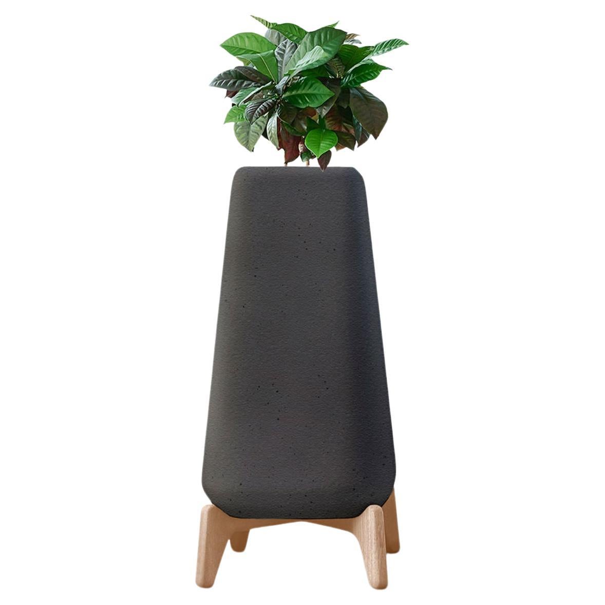 Terra Tall XS Black Planter With Natural Wood Base by Indigenus