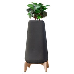 Grande jardinière noire XS avec base en bois naturel par Indigenus