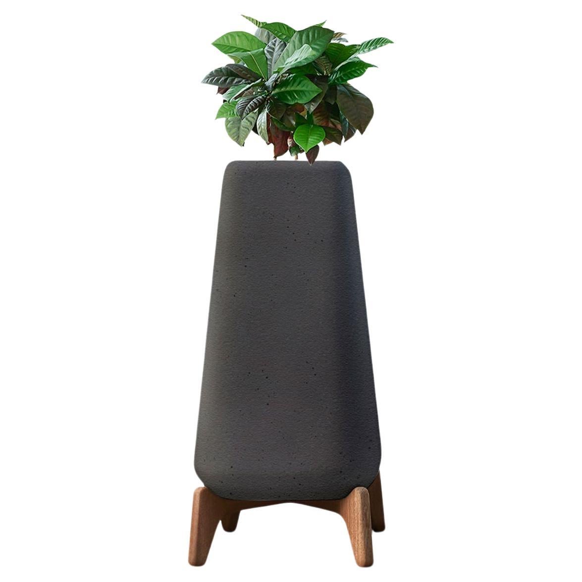 Terra Tall XS Black Planter With Oiled Wood Base by Indigenus