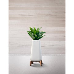 Terra Tall XS Brown Planter With Oiled Wood Base by Indigenus
