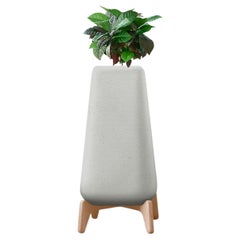 Grande jardinière grise XS avec base en bois naturel par Indigenus