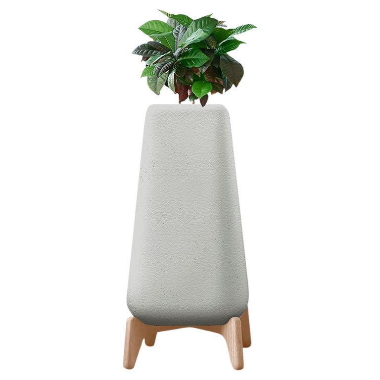 hang plant from ceiling Leather Plant Hanger main image 0