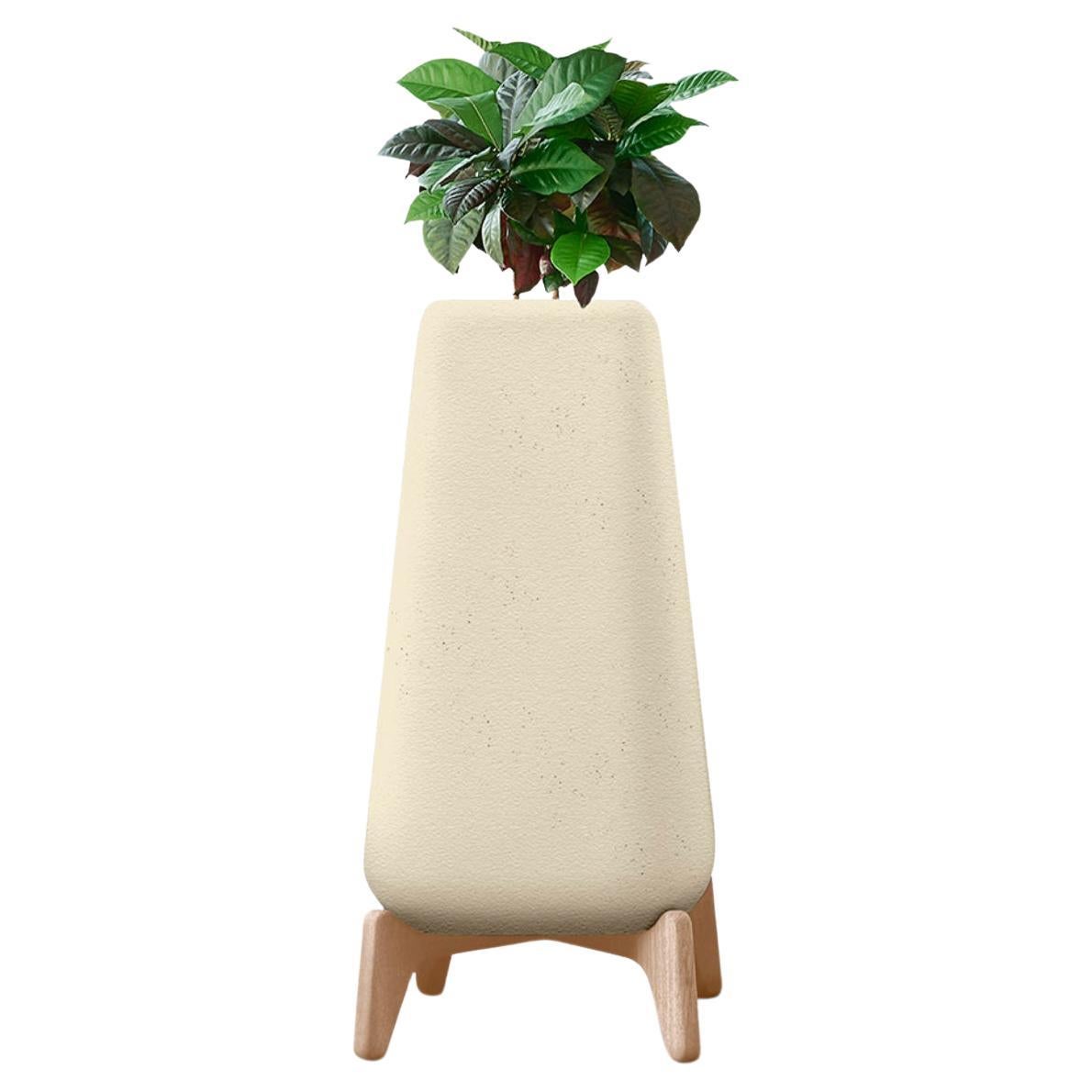 Terra Tall XS Sandstone Planter With Natural Wood Base by Indigenus