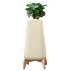 Fioriera Terra Tall XS in pietra arenaria con base in Wood Wood naturale di Indigenus
