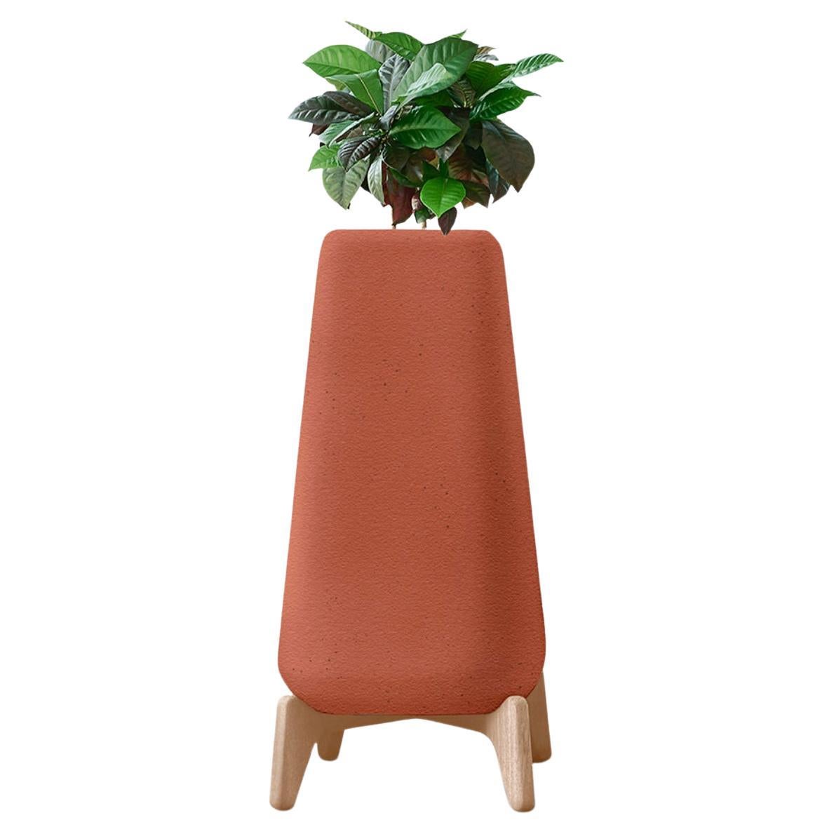Terra Tall XS Terracotta Planter With Natural Wood Base by Indigenus