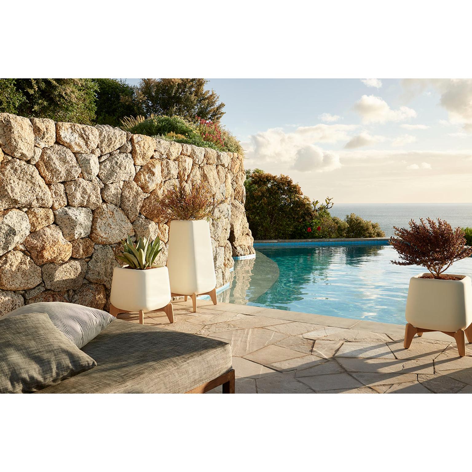 Jardinera Terra Tall XS de Terracota con Base de Madera Aceitada by Indigenus en venta 5
