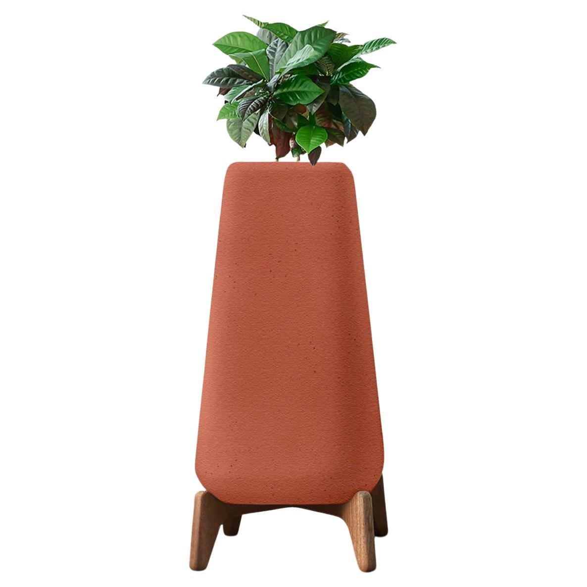 Jardinera Terra Tall XS de Terracota con Base de Madera Aceitada by Indigenus en venta