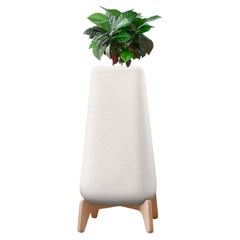 Grande jardinière blanche XS avec base en bois naturel par Indigenus