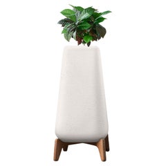 Grande jardinière blanche XS avec base en bois huilé indigenus