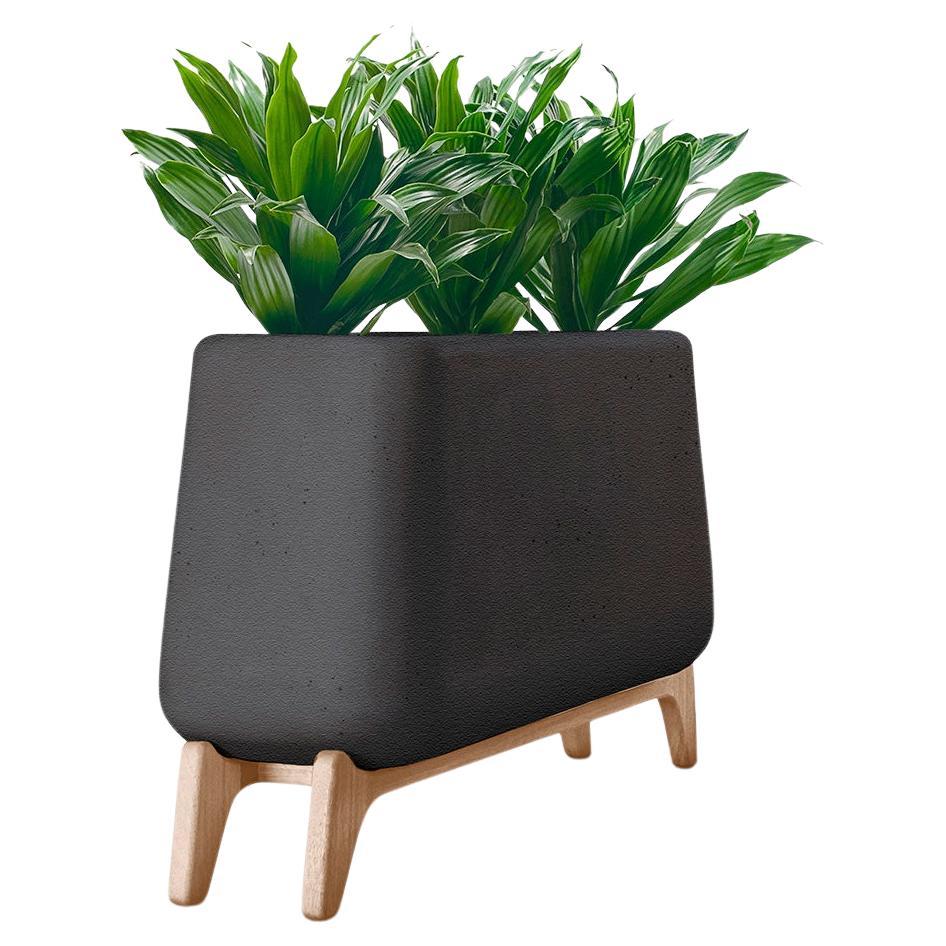Fioriera Terra Through nera con base in Wood Wood naturale di Indigenus