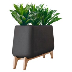 Fioriera Terra Through nera con base in Wood Wood naturale di Indigenus