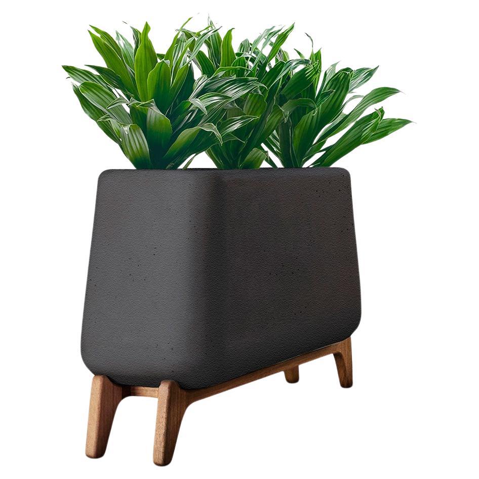 Terra Through Black Planter With Oiled Wood Base by Indigenus