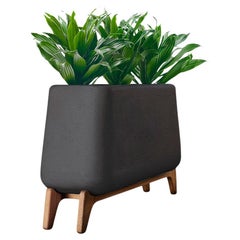 Jardinière Terra Through noire avec base en bois huilé par Indigenus