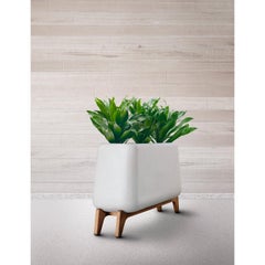 Terra Through Brown Planter With Natural Wood Base by Indigenus