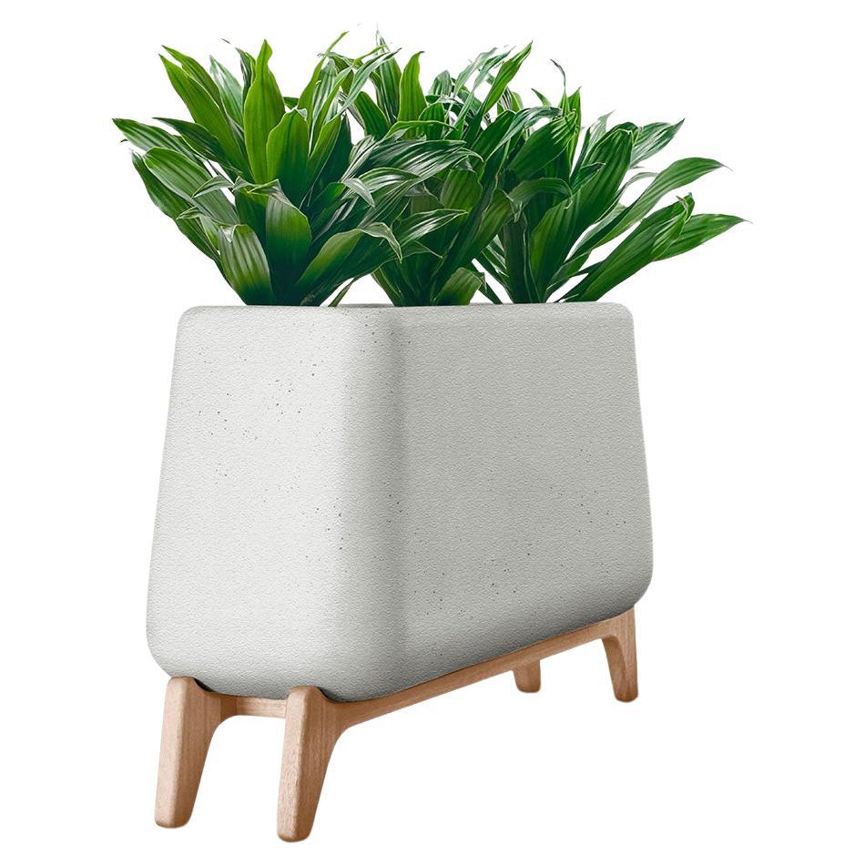 Terra Through Grey Planter With Natural Wood Base by Indigenus