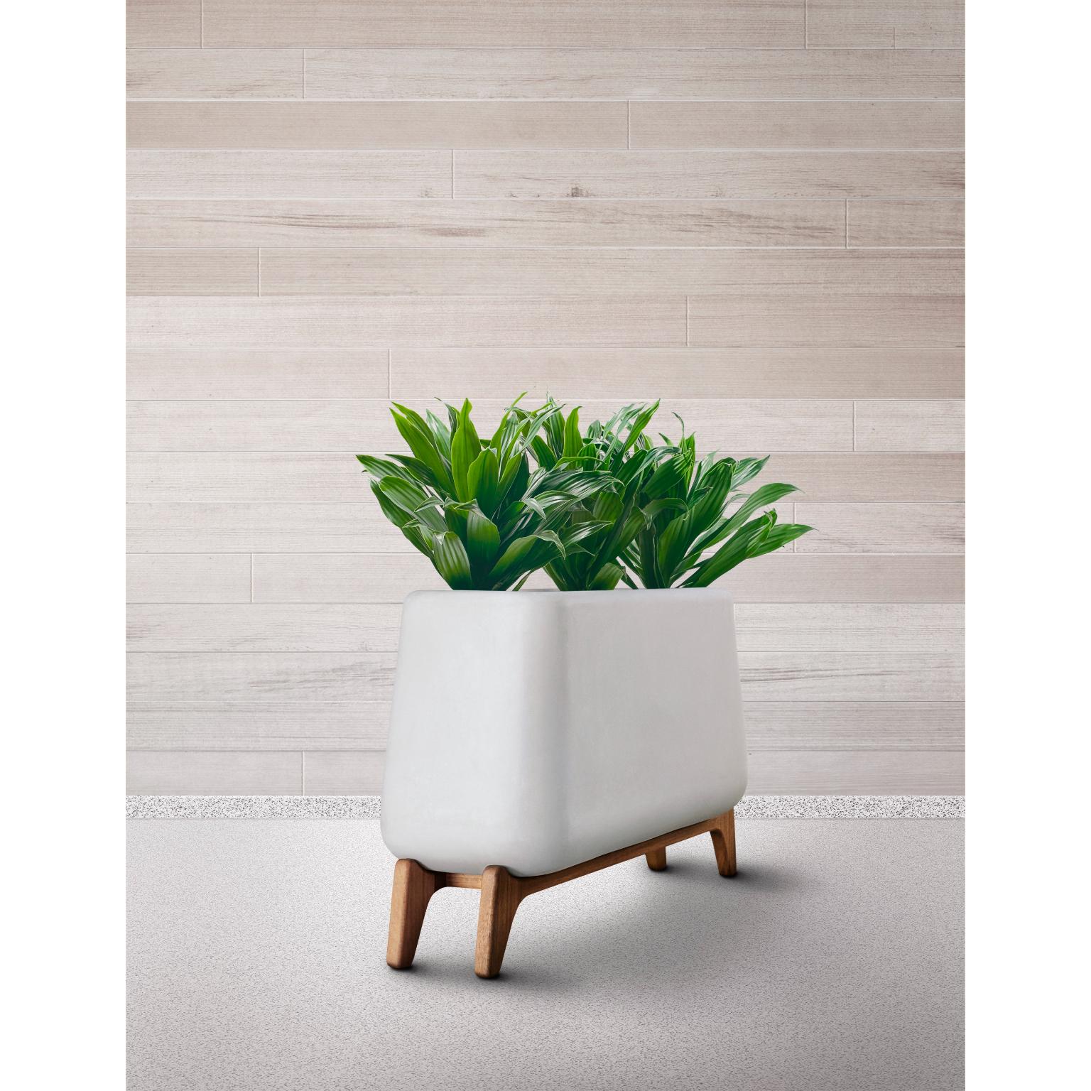 Terra Through Grey Planter With Oiled Wood Base by Indigenus
Designed by Laurie Wiid van Heerden
Dimensions: W 122,2 x H 85 cm.
Materials: Stone and wood.
Weight: 95 kg.

Different colors and sizes are available. Wood is available with a natural or