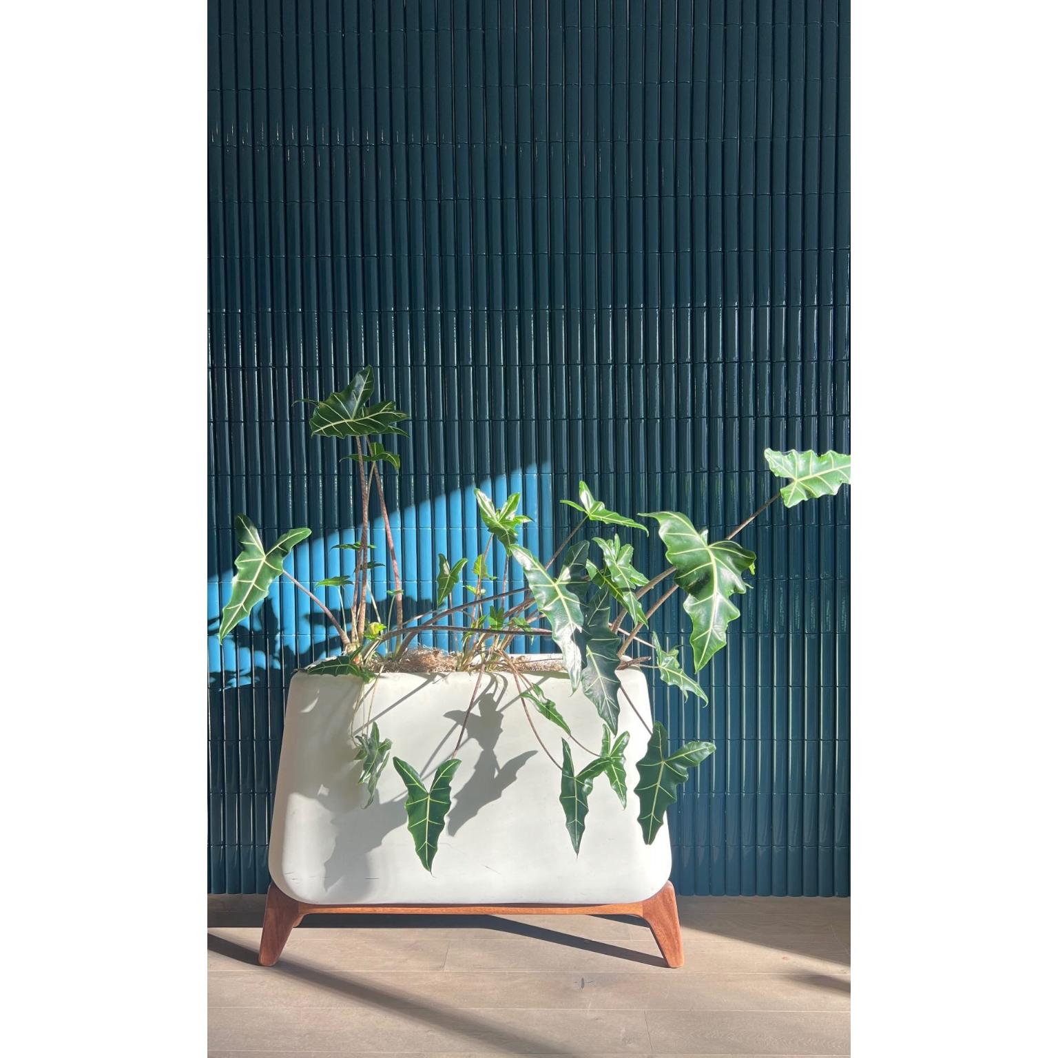Post-Modern Terra Through Grey Planter With Oiled Wood Base by Indigenus For Sale