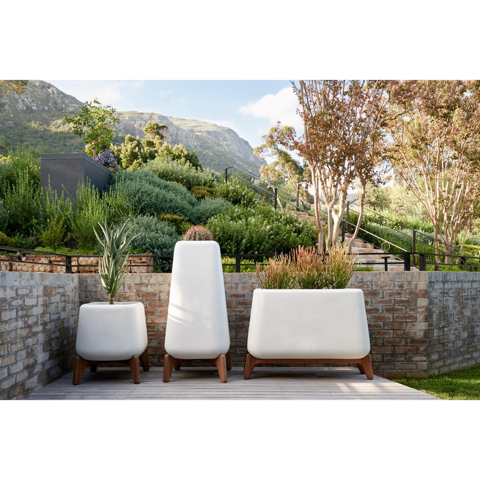 Terra Through Sandstone Planter With Natural Wood Base by Indigenus For Sale 3