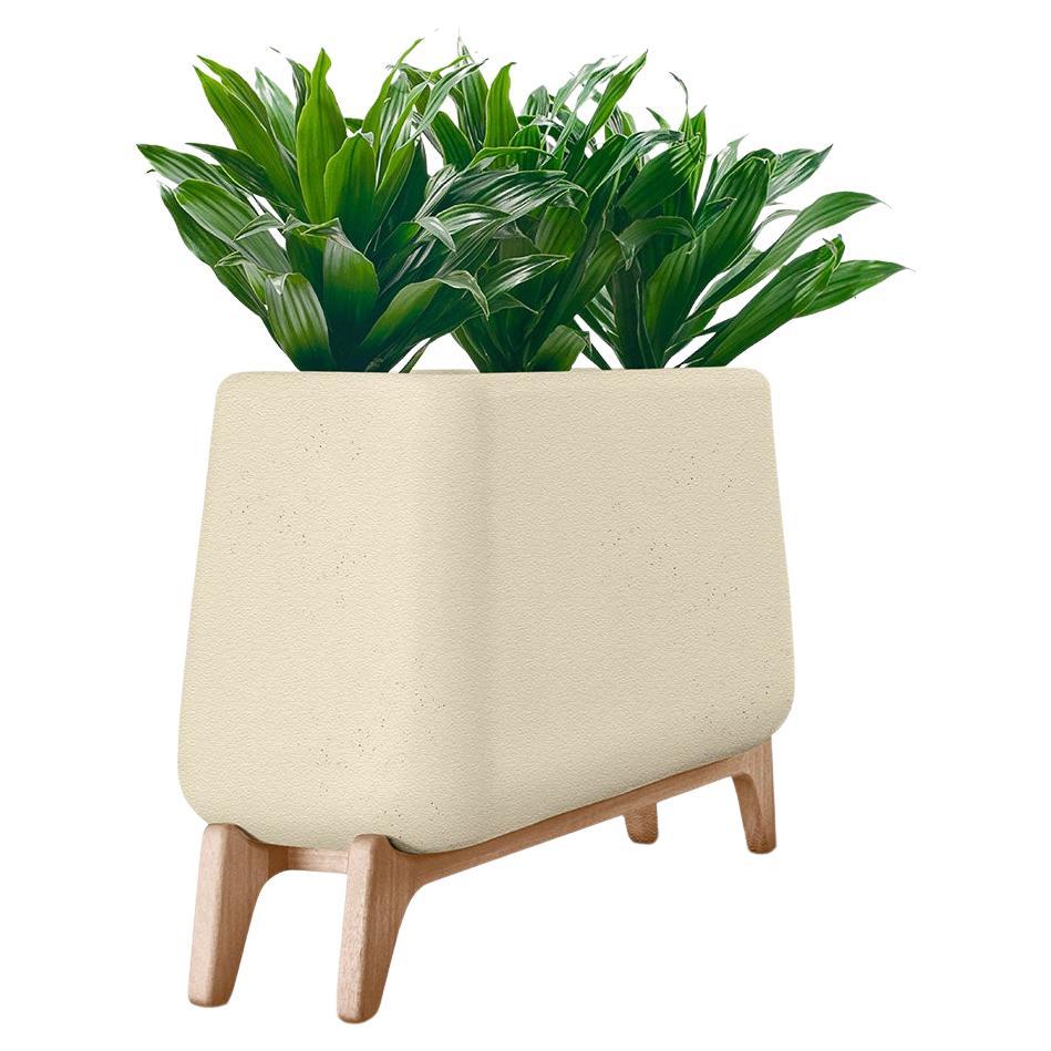 Terra Through Sandstone Planter With Natural Wood Base by Indigenus For Sale