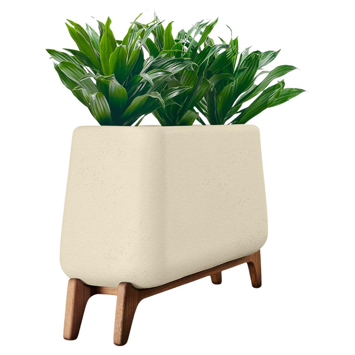 Terra Through Sandstone Planter With Oiled Wood Base by Indigenus