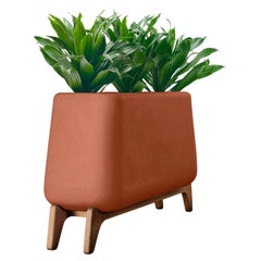 Fioriera in terracotta Terra Through con base in Wood Wood oliato di Indigenus