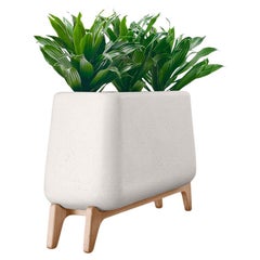 Fioriera Terra Through White con base in Wood Nature di Indigenus
