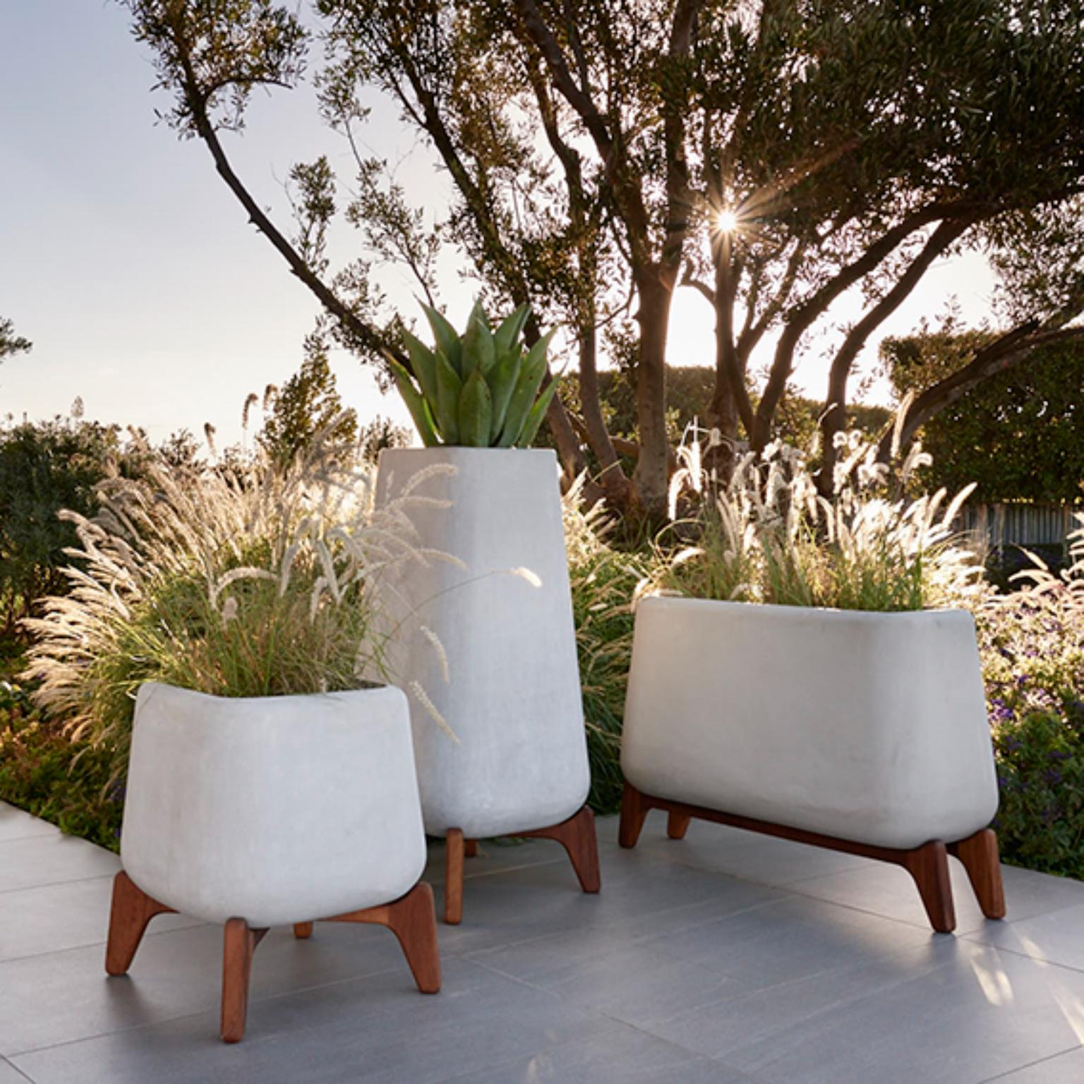 Terra Through White Planter With Oiled Wood Base by Indigenus For Sale 1