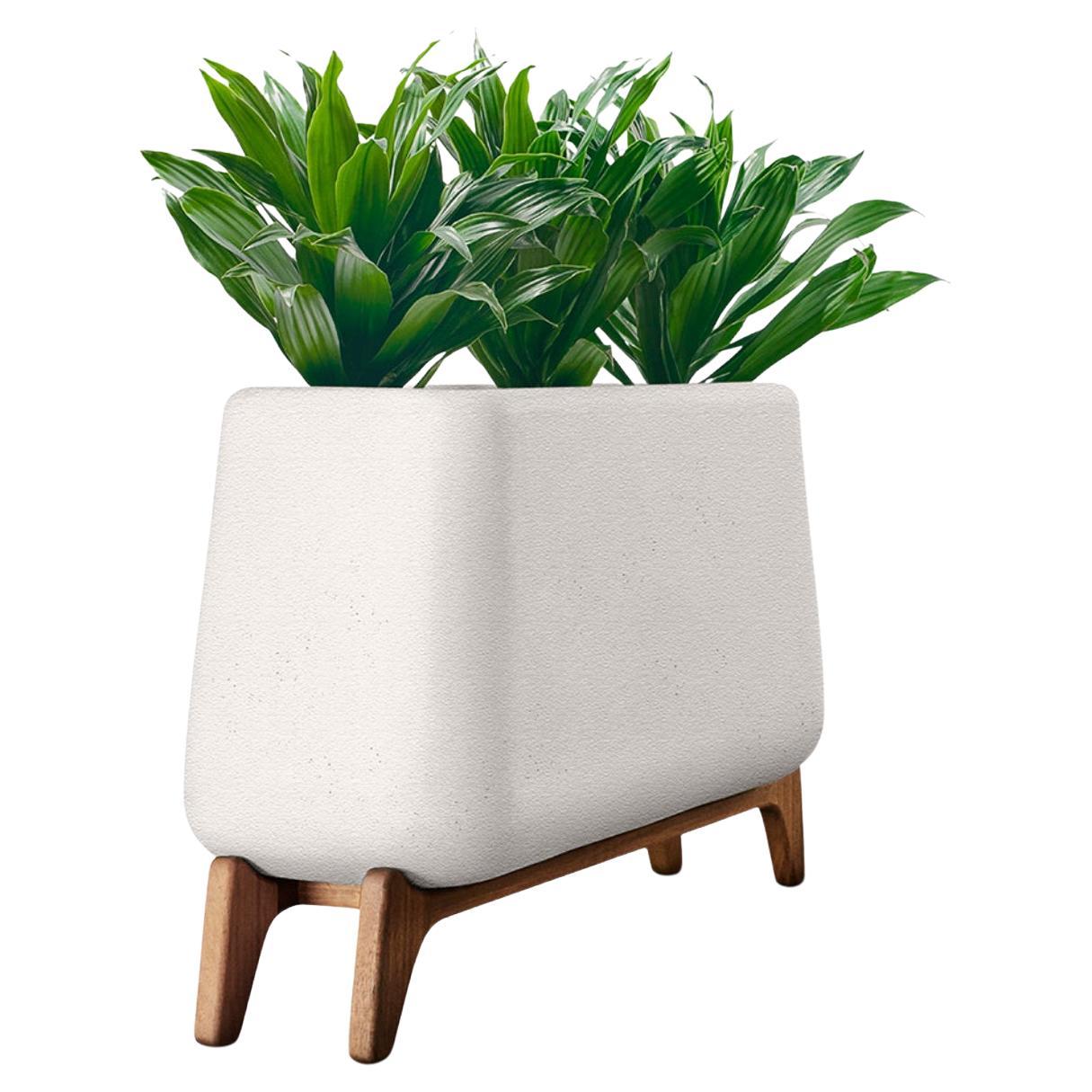 Terra Through White Planter With Oiled Wood Base by Indigenus