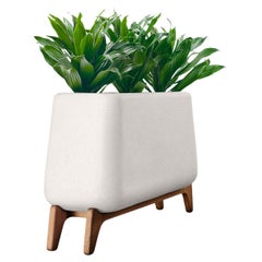 Jardinière Terra Through White avec base en bois huilé par Indigenus