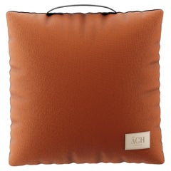 Terracota Outdoor Throw Pillow, Modern Waterproof Square Cushion Decor Handle