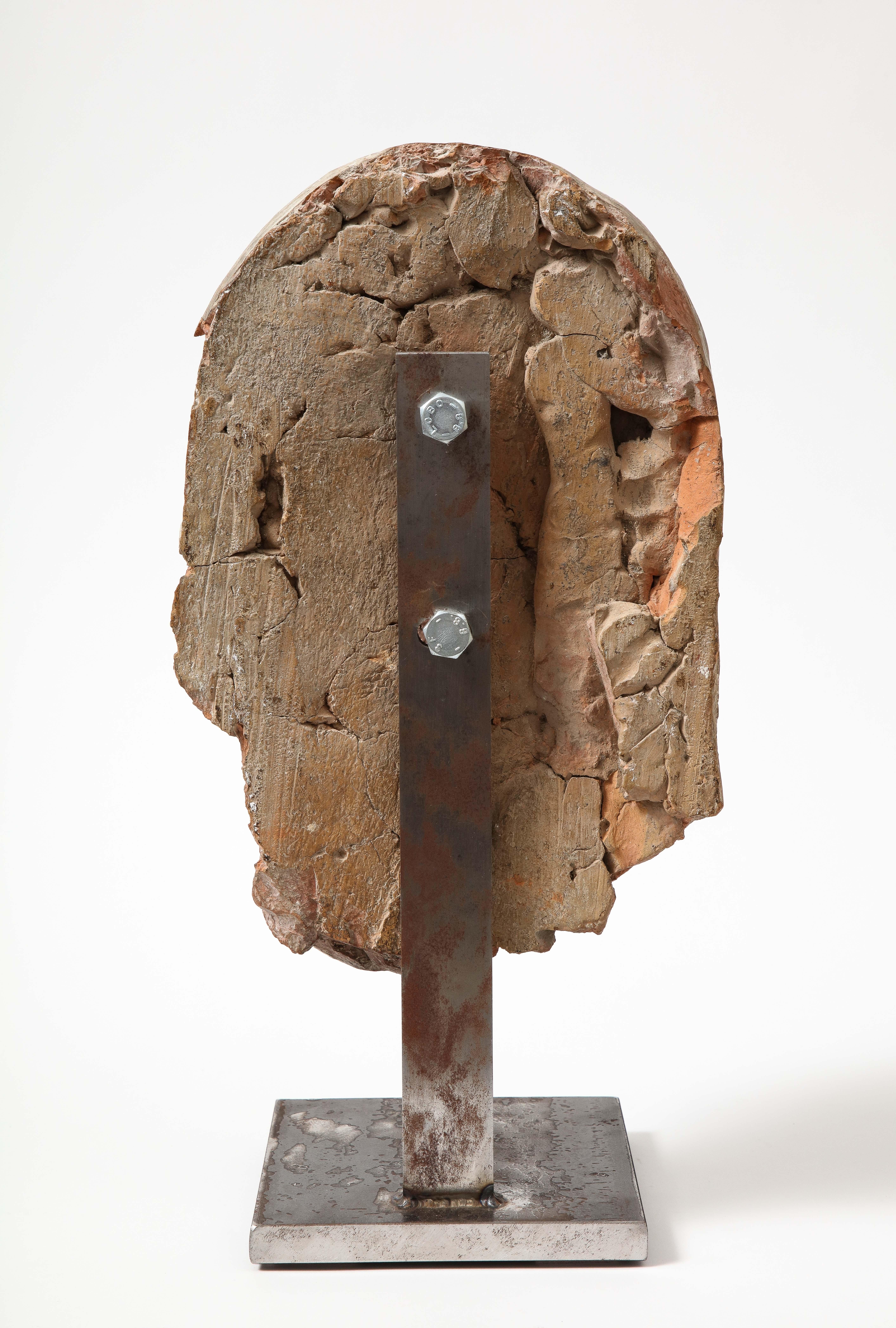 Terracotta e ceramica, Busto montato, Italia in vendita 7