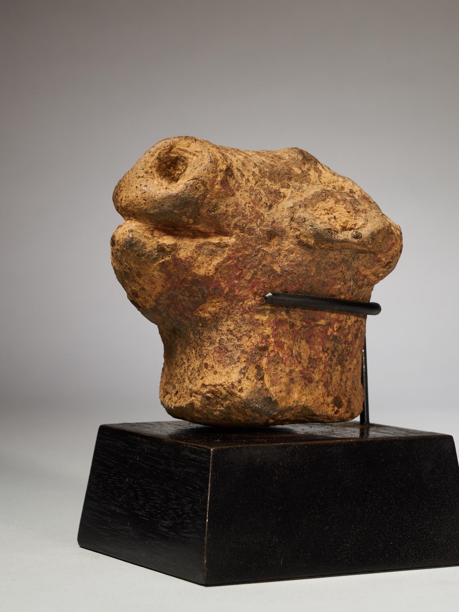Terracotta animal head, probably Ghana.