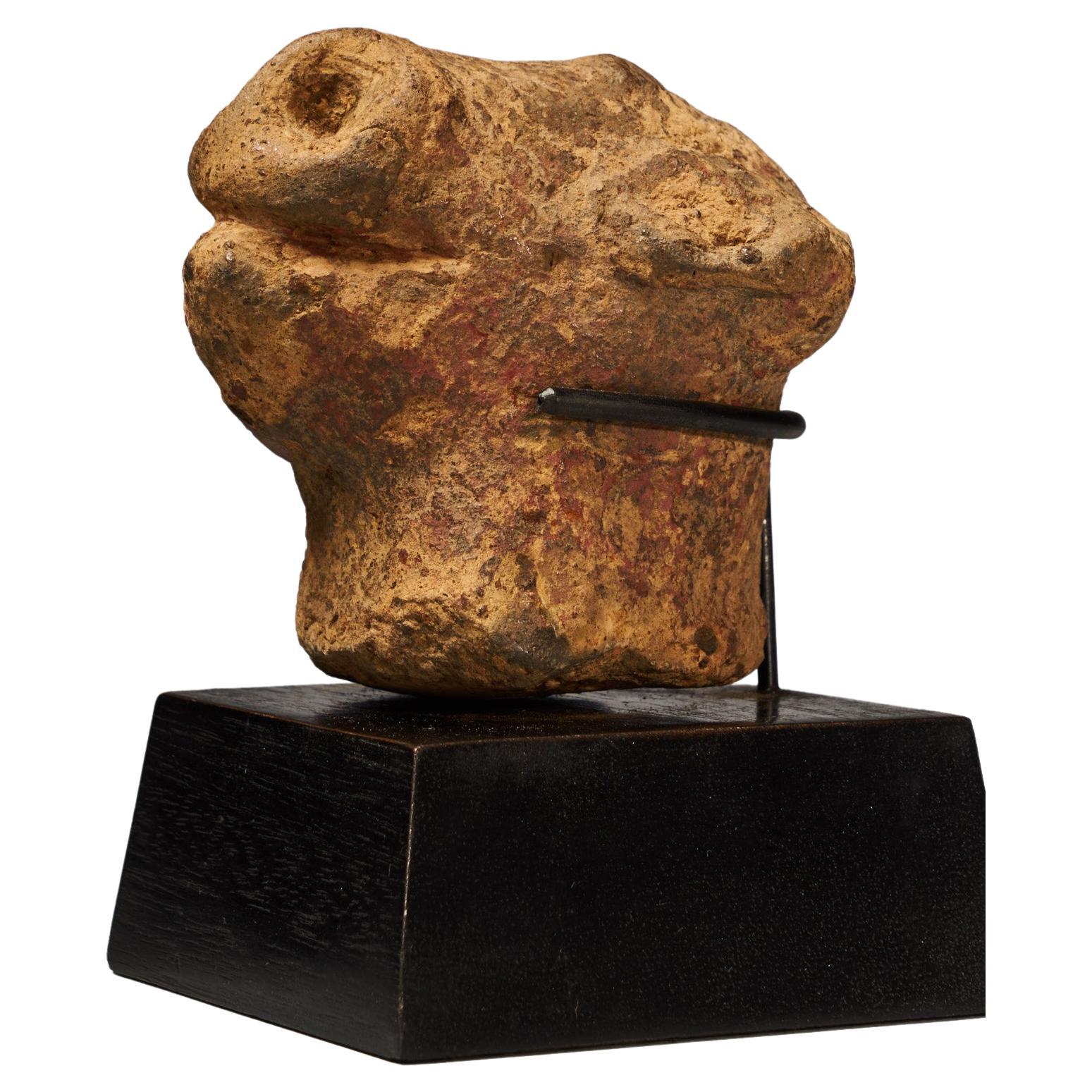 Terracotta Animal Head, Probably Ghana