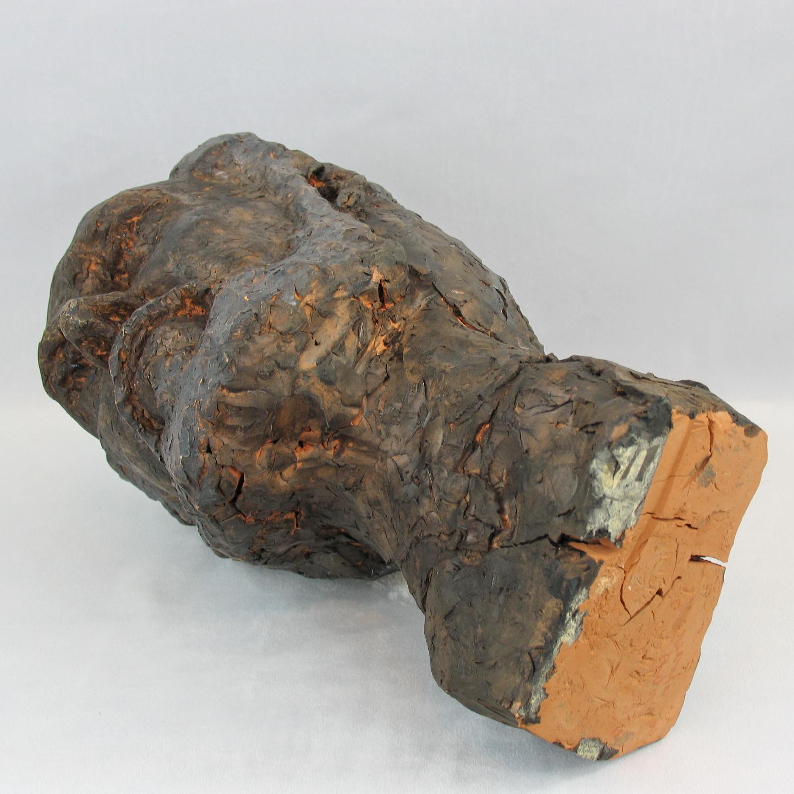 Busto in terracotta di un uomo con barba, metà del secolo scorso in vendita 6