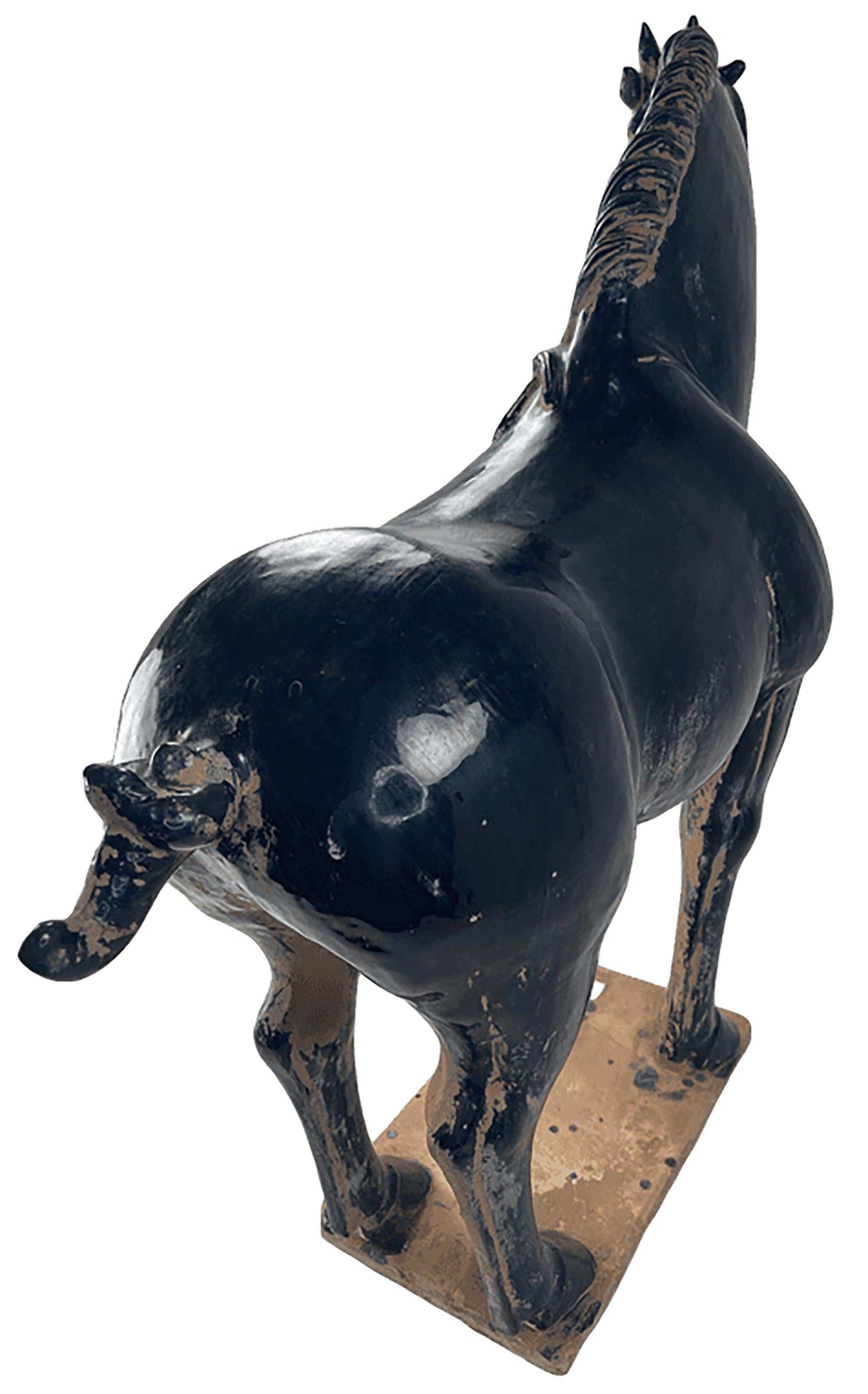 Tang Sculpture de cheval en terre cuite en vente