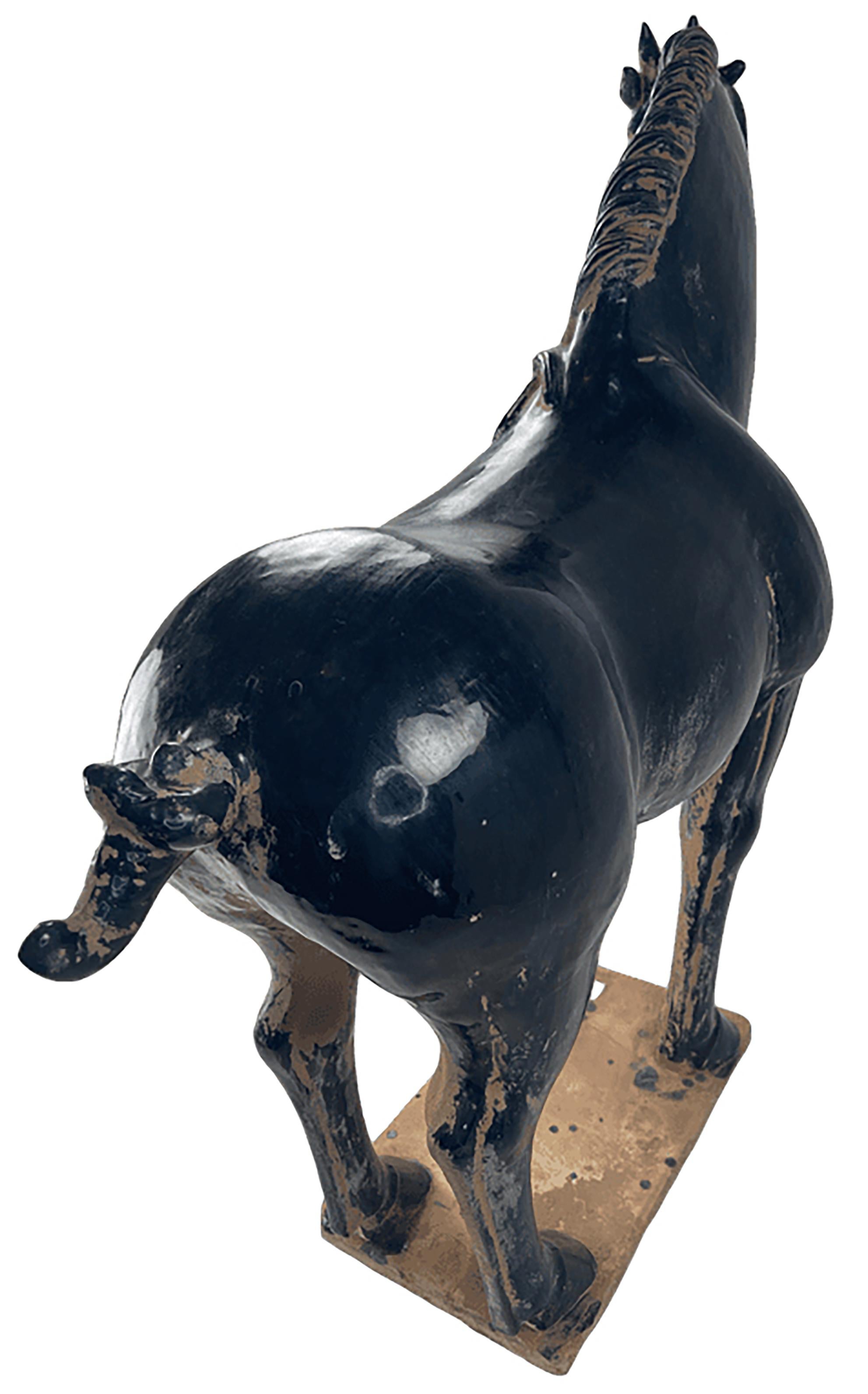 horse clay