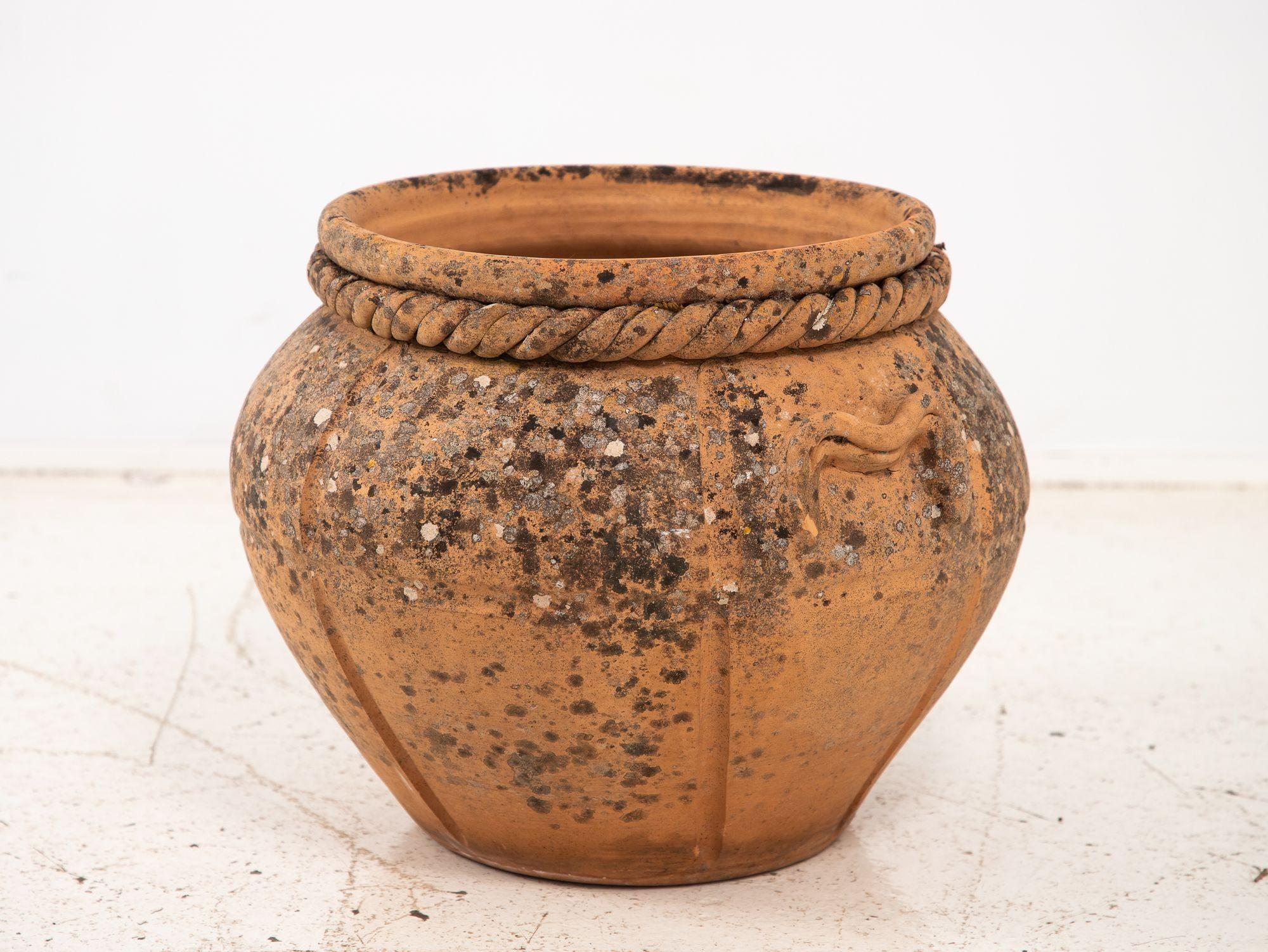 Terrakotta Compton Topf, England Mitte 20. im Angebot 1