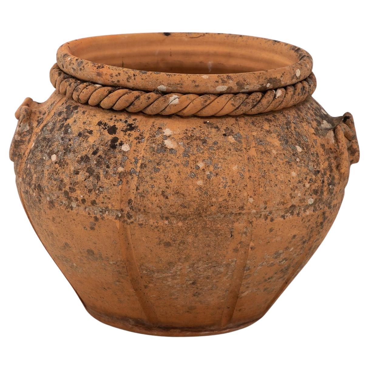 Maceta de terracota Compton, Inglaterra Mediados del S. XX