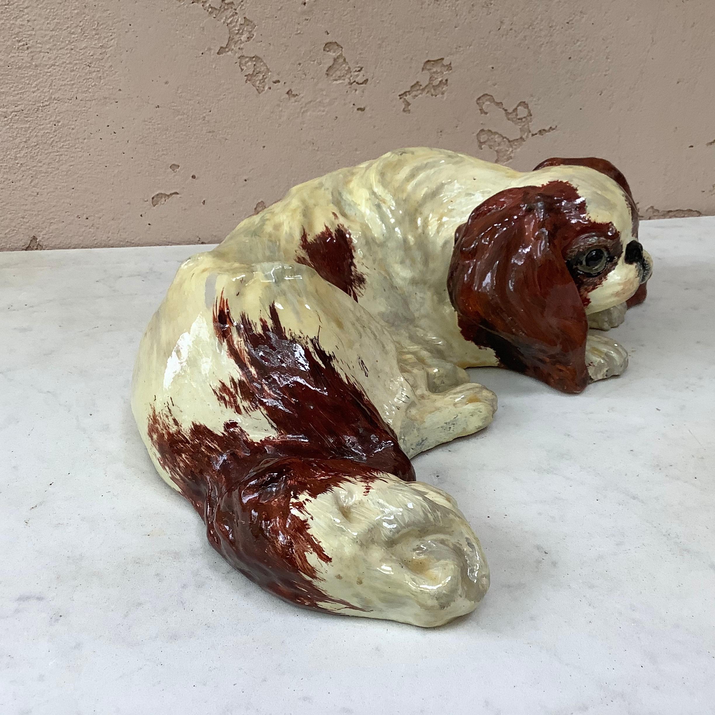 Rustic Terracotta Dog Cavalier King Charles Spaniel Bavent